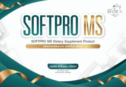 SOFPRO MS